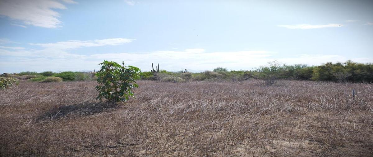 Foto de terreno habitacional en rancho san simon s/n, el pescadero, pacific , el pescadero, la paz, baja california sur, 0 foto 02 Foto de terreno habitacional en venta en rancho san simon s/n, el pescadero, pacific , el pescadero, la paz, baja california sur, 0 No. 02