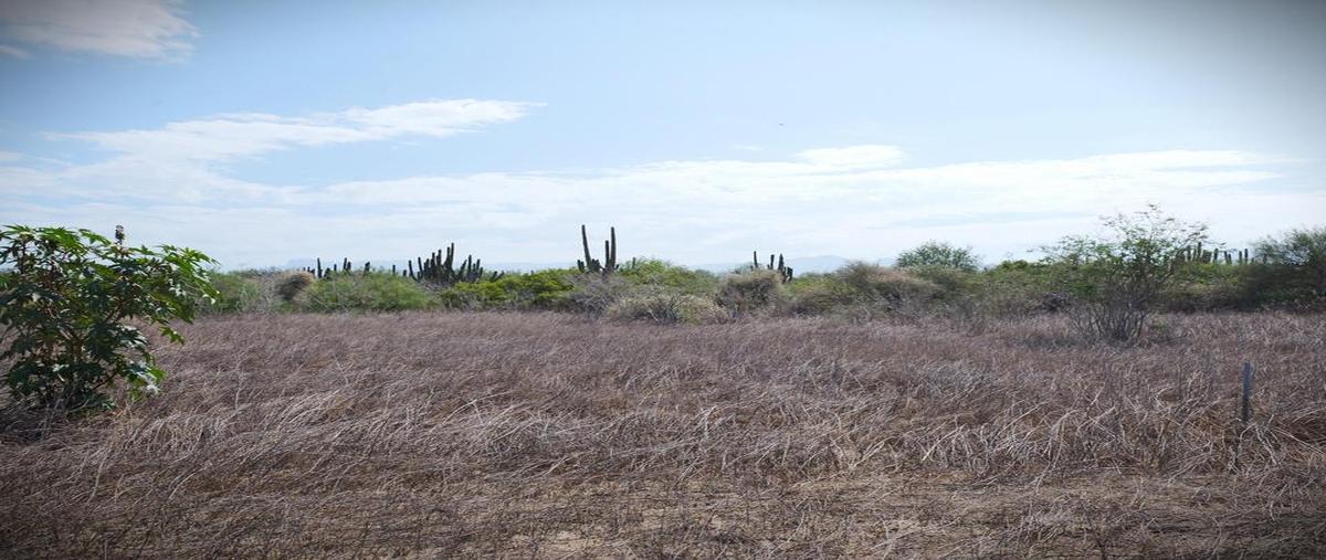 Foto de terreno habitacional en rancho san simon s/n, el pescadero, pacific , el pescadero, la paz, baja california sur, 0 foto 03 Foto de terreno habitacional en venta en rancho san simon s/n, el pescadero, pacific , el pescadero, la paz, baja california sur, 0 No. 03