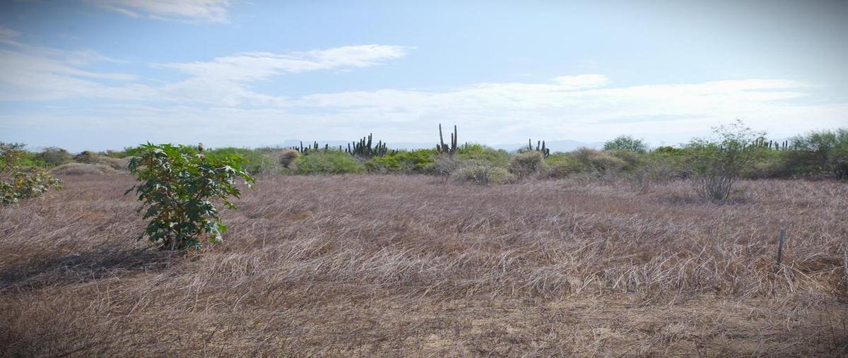Foto de terreno habitacional en rancho san simon s/n, el pescadero, pacific , el pescadero, la paz, baja california sur, 0 foto 04 Foto de terreno habitacional en venta en rancho san simon s/n, el pescadero, pacific , el pescadero, la paz, baja california sur, 0 No. 04