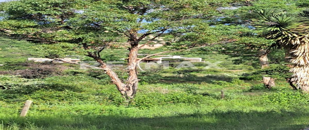 Foto de terreno habitacional en rancho seco , la chaveña, jesús maría, aguascalientes, 0 foto 05 Foto de terreno habitacional en venta en rancho seco , la chaveña, jesús maría, aguascalientes, 0 No. 05