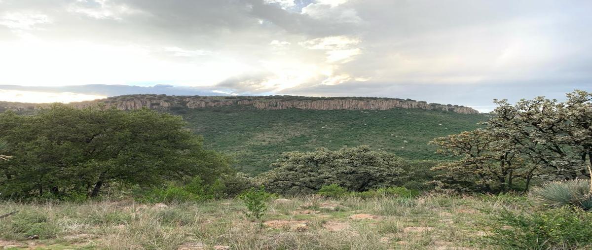 Foto de terreno habitacional en venta en  , rancho seco, san francisco de los romo, aguascalientes, 0 No. 03