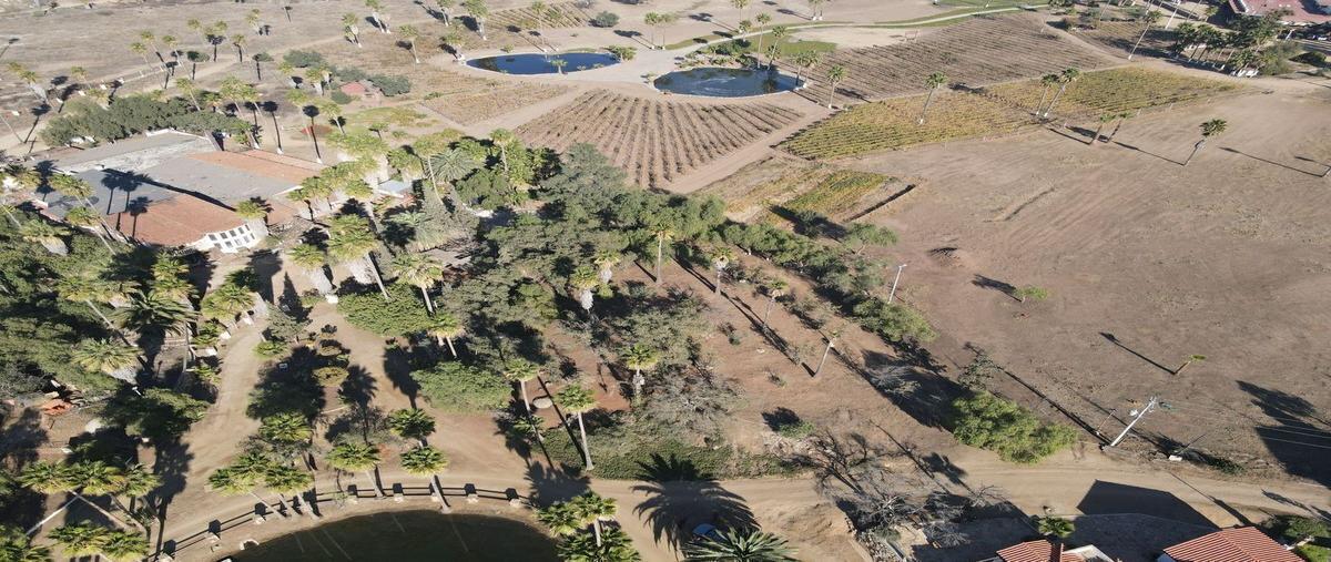 Foto de terreno habitacional en rancho tecate resort s/n , nueva hindú sección encinos, tecate, baja california, 28554679 foto 04 Foto de terreno habitacional en venta en rancho tecate resort s/n , nueva hindú sección encinos, tecate, baja california, 28554679 No. 04