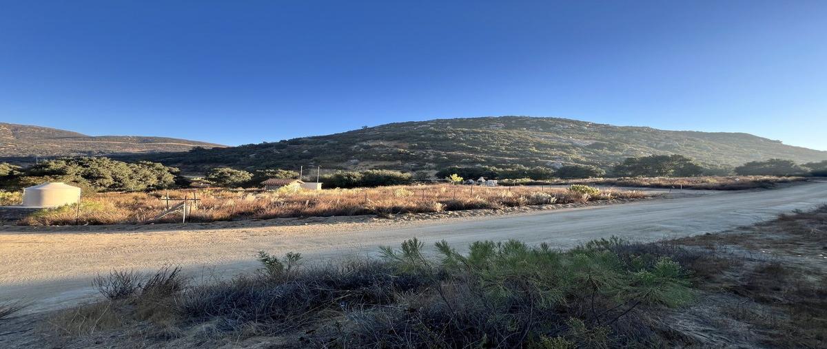 Foto de terreno habitacional en venta en rancho tecate , tecate centro, tecate, baja california, 0 No. 03