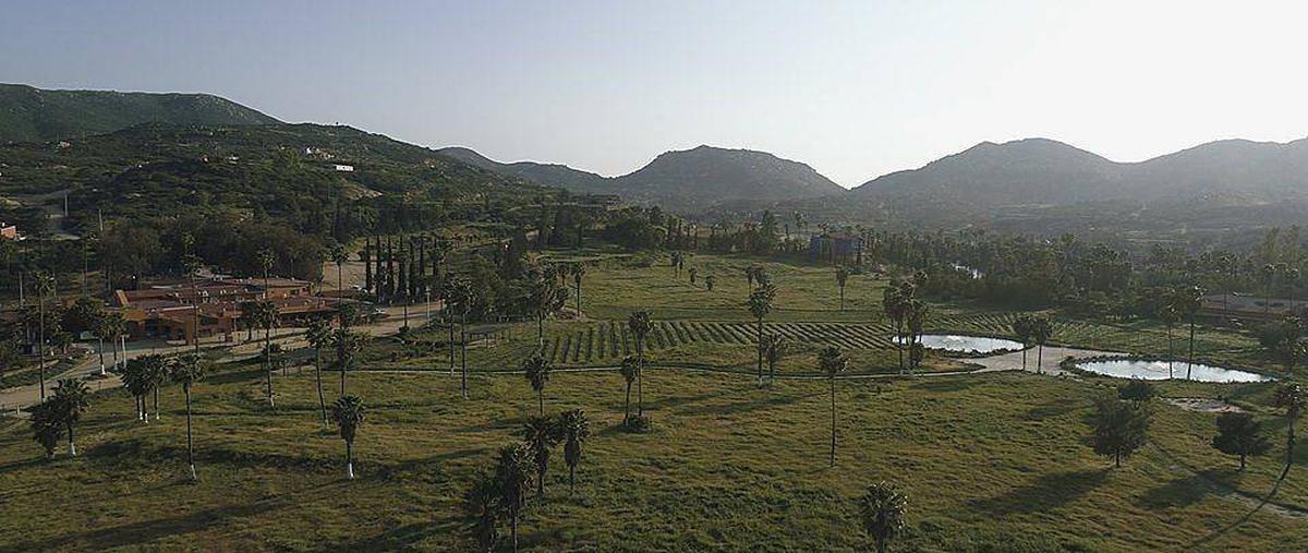 Foto de terreno habitacional en venta en rancho tecate , valle verde, tecate, baja california, 25099937 No. 05