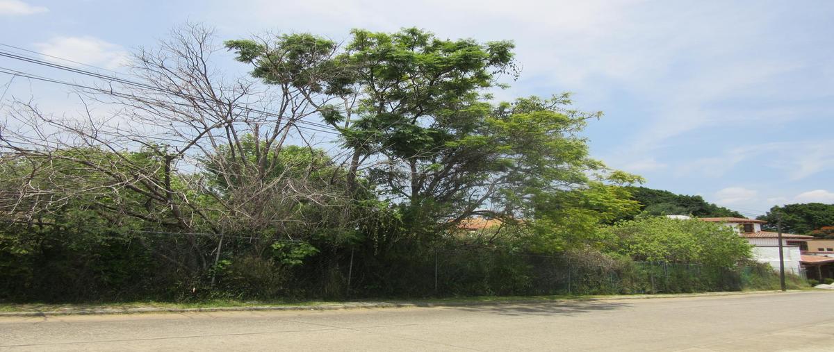 Foto de terreno habitacional en venta en  , rancho tetela, cuernavaca, morelos, 0 No. 03