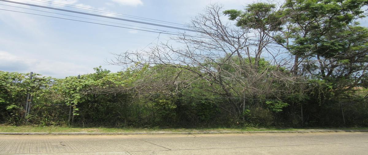 Foto de terreno habitacional en venta en  , rancho tetela, cuernavaca, morelos, 0 No. 03