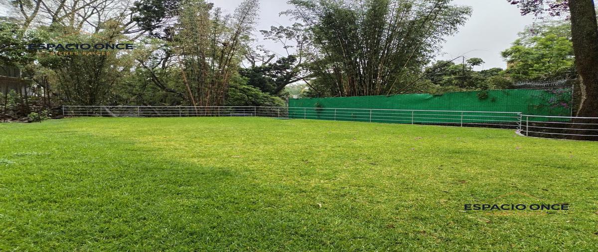 Foto de terreno habitacional en venta en  , rancho tetela, cuernavaca, morelos, 30099719 No. 05