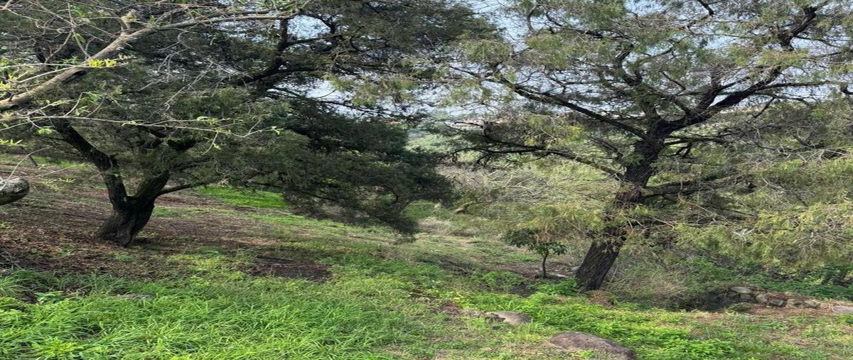 Foto de terreno comercial en , rancho tetela, cuernavaca, morelos, 0 foto 03 Foto de terreno comercial en venta en , rancho tetela, cuernavaca, morelos, 0 No. 03