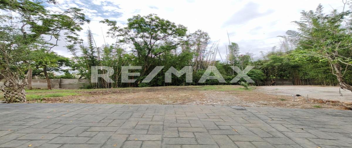 Foto de terreno habitacional en venta en rancho tetela , rancho tetela, cuernavaca, morelos, 0 No. 05