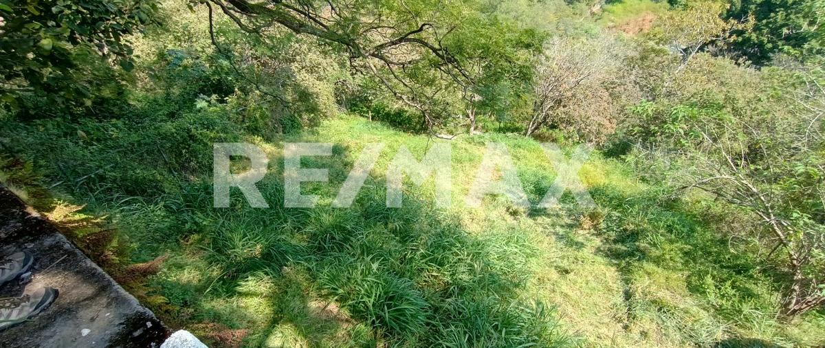 Foto de terreno habitacional en rancho tetela , rancho tetela, cuernavaca, morelos, 30536919 foto 04 Foto de terreno habitacional en venta en rancho tetela , rancho tetela, cuernavaca, morelos, 30536919 No. 04