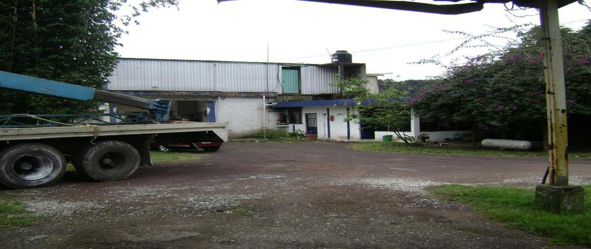 Foto de terreno habitacional en , rancho viejo, banderilla, veracruz de ignacio de la llave, 6697745 foto 03 Foto de terreno habitacional en venta en , rancho viejo, banderilla, veracruz de ignacio de la llave, 6697745 No. 03