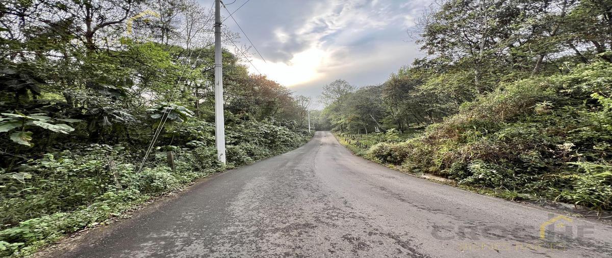 Foto de terreno habitacional en venta en  , rancho viejo, emiliano zapata, veracruz de ignacio de la llave, 0 No. 03