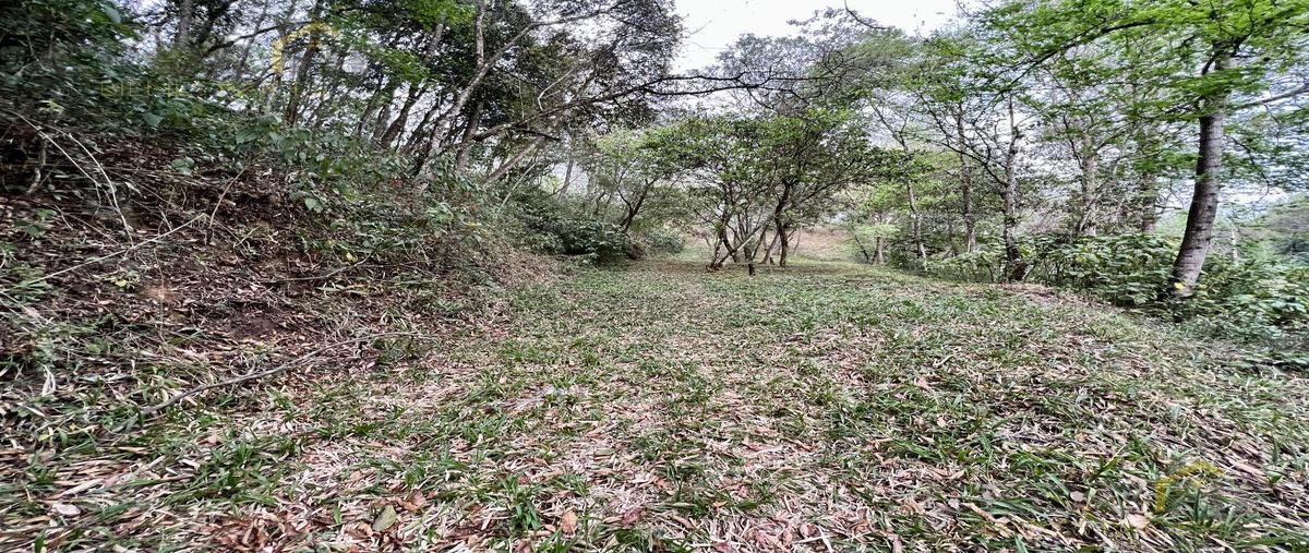 Foto de terreno habitacional en venta en  , rancho viejo, emiliano zapata, veracruz de ignacio de la llave, 0 No. 04