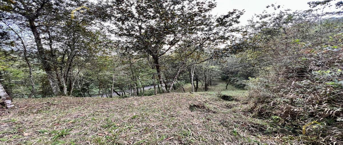 Foto de terreno habitacional en venta en  , rancho viejo, emiliano zapata, veracruz de ignacio de la llave, 0 No. 05