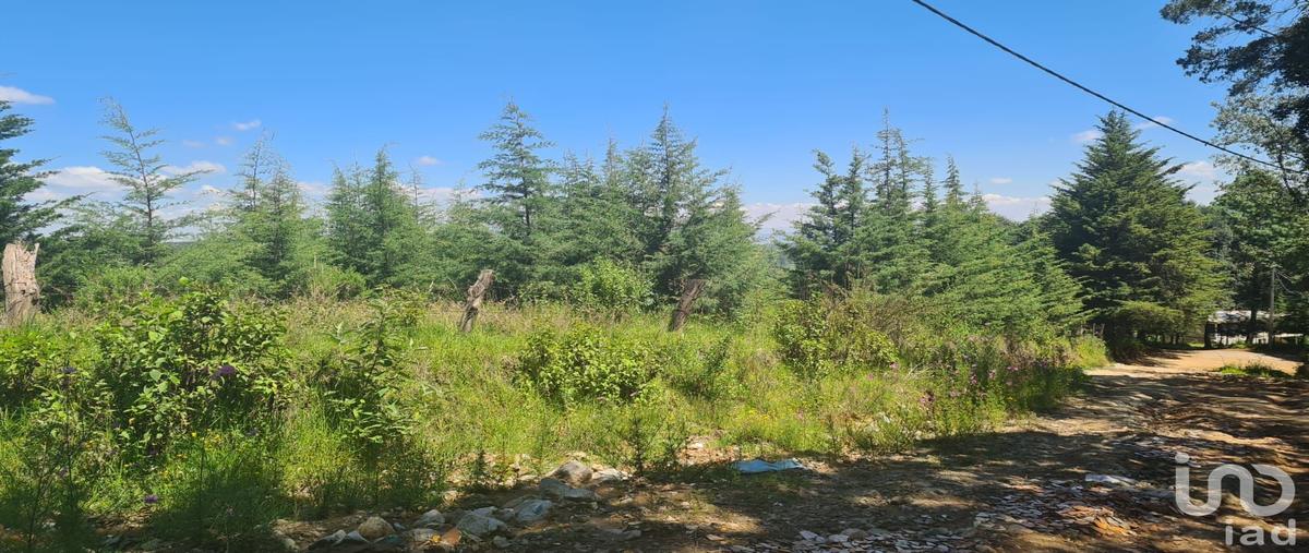 Foto de terreno habitacional en rancho viejo , santa maría mazatla, jilotzingo, méxico, 0 foto 01 Foto de terreno habitacional en venta en rancho viejo , santa maría mazatla, jilotzingo, méxico, 0 No. 01