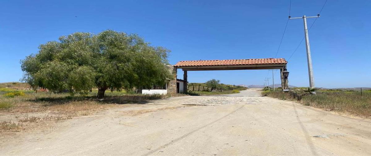 Foto de terreno habitacional en rancho viejo , valle verde, tecate, baja california, 29453198 foto 01 Foto de terreno habitacional en venta en rancho viejo , valle verde, tecate, baja california, 29453198 No. 01