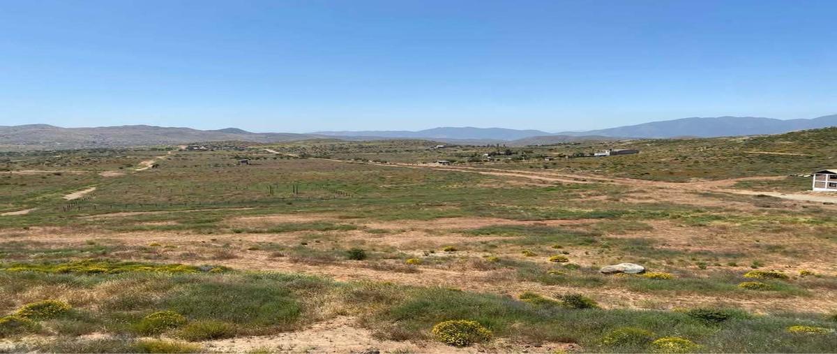 Foto de terreno habitacional en rancho viejo , valle verde, tecate, baja california, 29453198 foto 02 Foto de terreno habitacional en venta en rancho viejo , valle verde, tecate, baja california, 29453198 No. 02