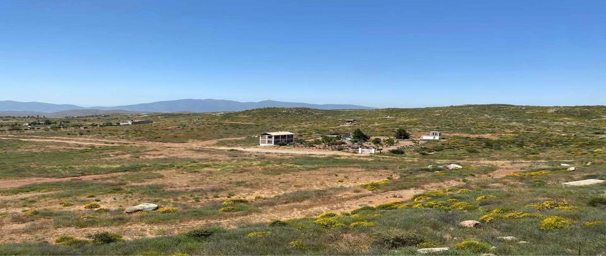 Foto de terreno habitacional en rancho viejo , valle verde, tecate, baja california, 29453198 foto 05 Foto de terreno habitacional en venta en rancho viejo , valle verde, tecate, baja california, 29453198 No. 05