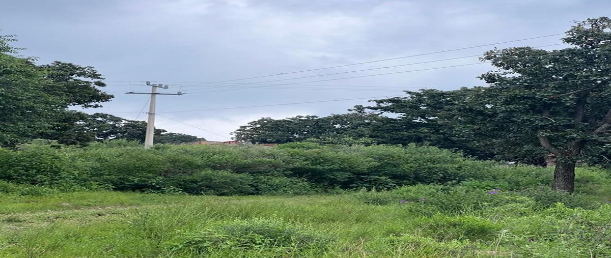 Foto de terreno habitacional en rancho zacamecate , acatic, acatic, jalisco, 27065986 foto 03 Foto de terreno habitacional en venta en rancho zacamecate , acatic, acatic, jalisco, 27065986 No. 03