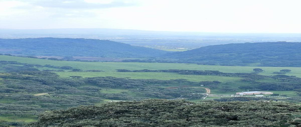 Foto de terreno habitacional en rancho zacamecate , acatic, acatic, jalisco, 27065986 foto 04 Foto de terreno habitacional en venta en rancho zacamecate , acatic, acatic, jalisco, 27065986 No. 04