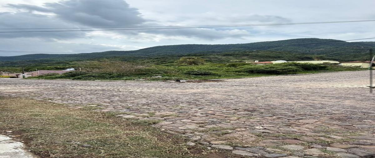 Foto de terreno habitacional en venta en raquet club , san juan cosala, jocotepec, jalisco, 0 No. 03