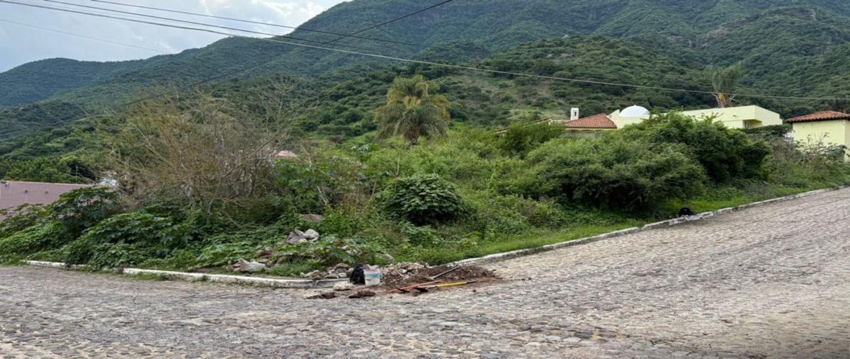 Foto de terreno habitacional en venta en raquet club , san juan cosala, jocotepec, jalisco, 0 No. 04