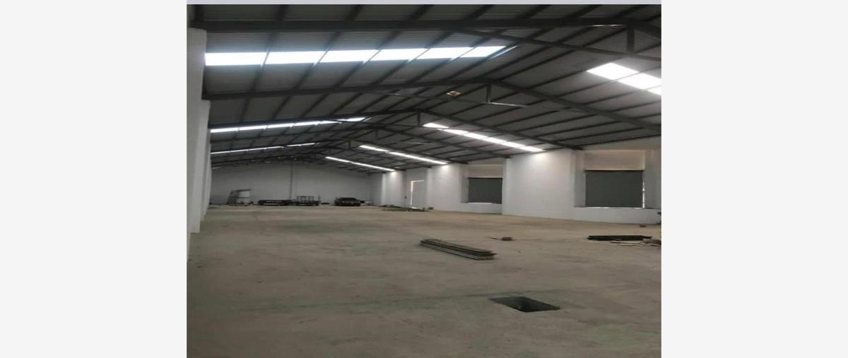 Foto de bodega en renta en rastro 100, el saucillo, mineral de la reforma, hidalgo, 26372056 No. 05