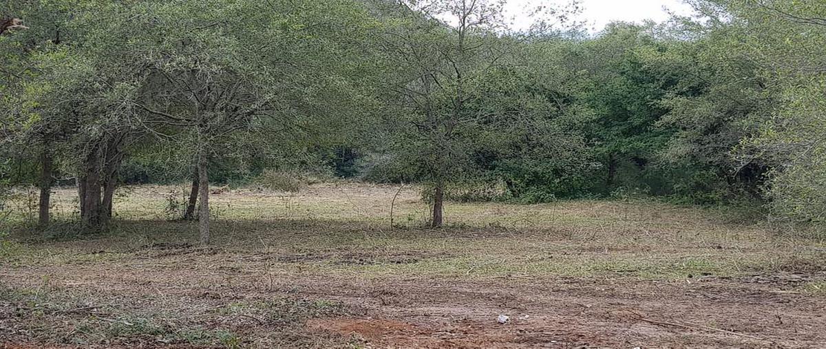 Foto de terreno habitacional en venta en raul caballero 000, san pedro el álamo, santiago, nuevo león, 0 No. 05