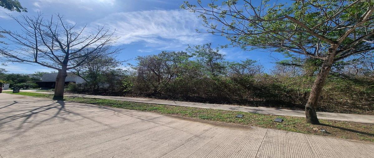 Foto de terreno habitacional en venta en ravena , cabo norte, mérida, yucatán, 31061919 No. 03