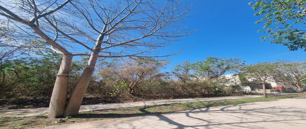 Foto de terreno habitacional en venta en ravena , cabo norte, mérida, yucatán, 31061919 No. 07