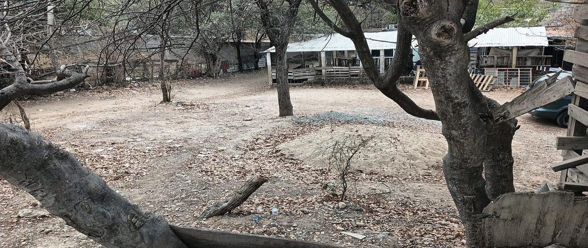 Foto de terreno habitacional en raymundo enriquez , club de golf campestre, tuxtla gutiérrez, chiapas, 0 foto 01 Foto de terreno habitacional en renta en raymundo enriquez , club de golf campestre, tuxtla gutiérrez, chiapas, 0 No. 01