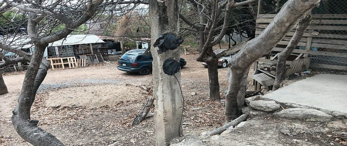 Foto de terreno habitacional en raymundo enriquez , club de golf campestre, tuxtla gutiérrez, chiapas, 0 foto 02 Foto de terreno habitacional en renta en raymundo enriquez , club de golf campestre, tuxtla gutiérrez, chiapas, 0 No. 02