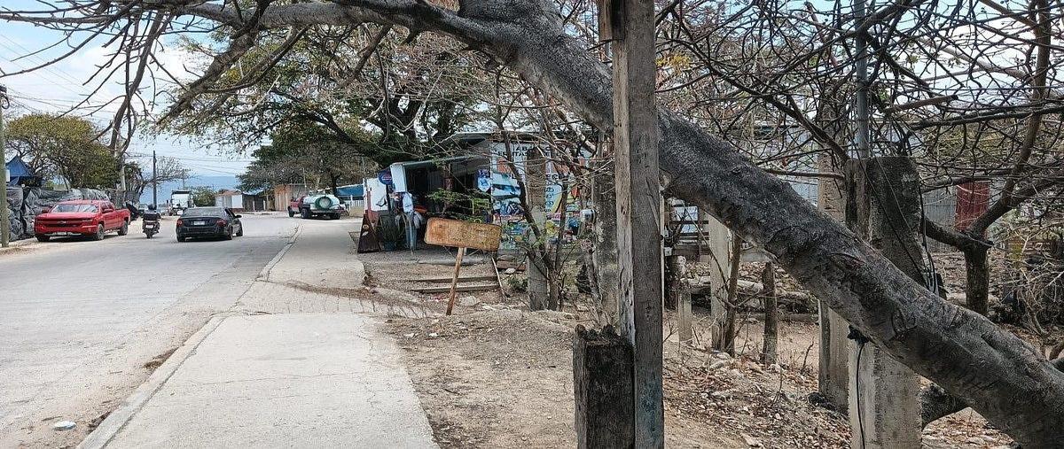 Foto de terreno habitacional en raymundo enriquez , club de golf campestre, tuxtla gutiérrez, chiapas, 0 foto 03 Foto de terreno habitacional en renta en raymundo enriquez , club de golf campestre, tuxtla gutiérrez, chiapas, 0 No. 03