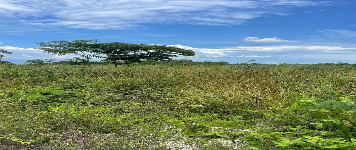 Foto de terreno habitacional en venta en raymundo enriquez , lomas del campestre, tuxtla gutiérrez, chiapas, 0 No. 04