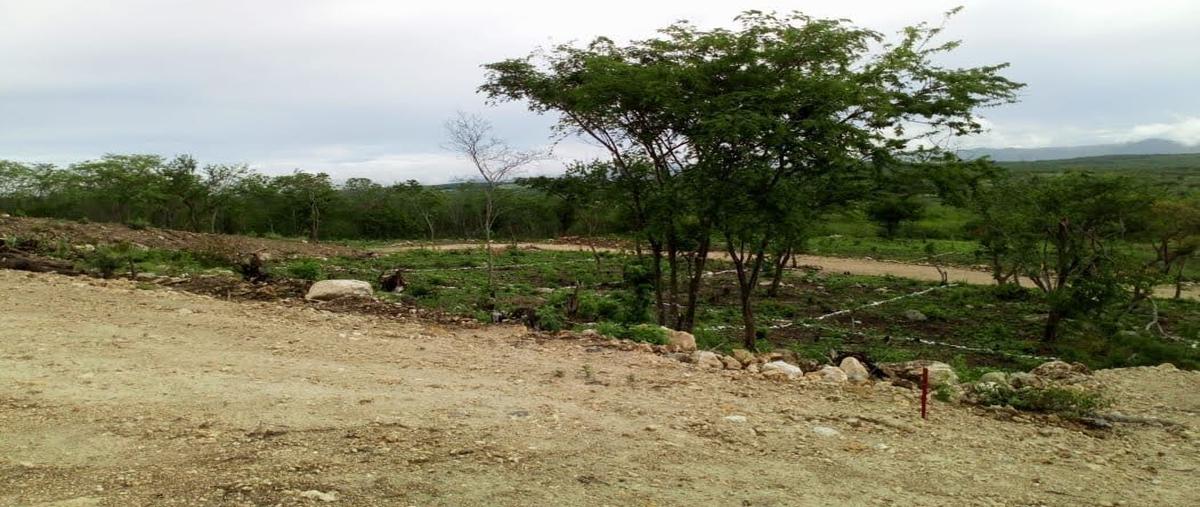 Foto de terreno habitacional en raymundo enriquez , san miguel, ocozocoautla de espinosa, chiapas, 24732108 foto 02 Foto de terreno habitacional en venta en raymundo enriquez , san miguel, ocozocoautla de espinosa, chiapas, 24732108 No. 02