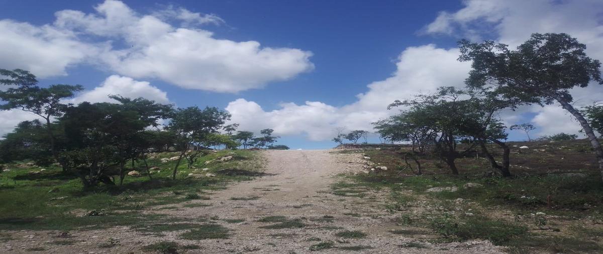 Foto de terreno habitacional en raymundo enriquez , san miguel, ocozocoautla de espinosa, chiapas, 24732108 foto 04 Foto de terreno habitacional en venta en raymundo enriquez , san miguel, ocozocoautla de espinosa, chiapas, 24732108 No. 04