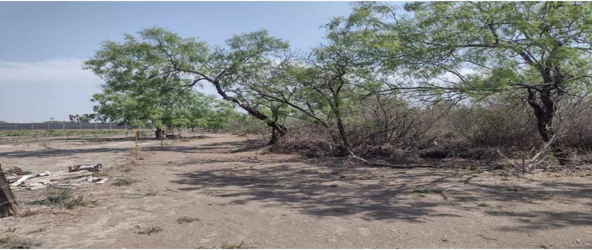 Foto de terreno habitacional en venta en  , raymundo urrutia (llano blanco), salinas victoria, nuevo león, 26677958 No. 03