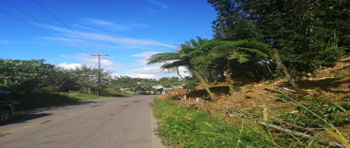 Foto de terreno habitacional en venta en rayón 101, ciudad de cuetzalan, cuetzalan del progreso, puebla, 0 No. 03