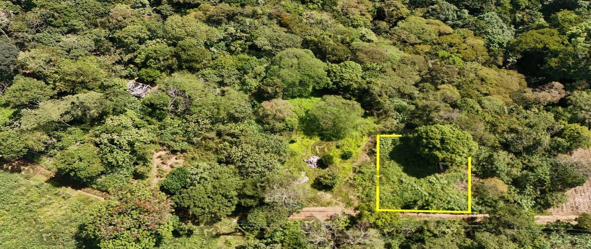 Foto de terreno habitacional en rayon , potrerillo, amatlán de los reyes, veracruz de ignacio de la llave, 0 foto 03 Foto de terreno habitacional en venta en rayon , potrerillo, amatlán de los reyes, veracruz de ignacio de la llave, 0 No. 03