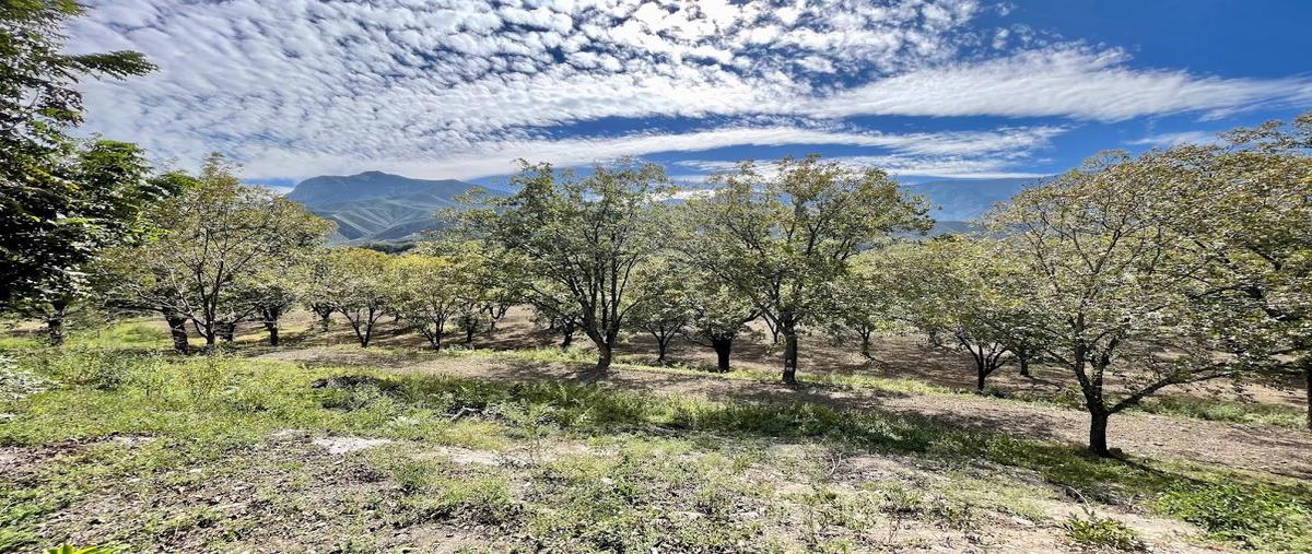 Foto de terreno habitacional en , rayones, rayones, nuevo león, 0 foto 05 Foto de terreno habitacional en venta en , rayones, rayones, nuevo león, 0 No. 05