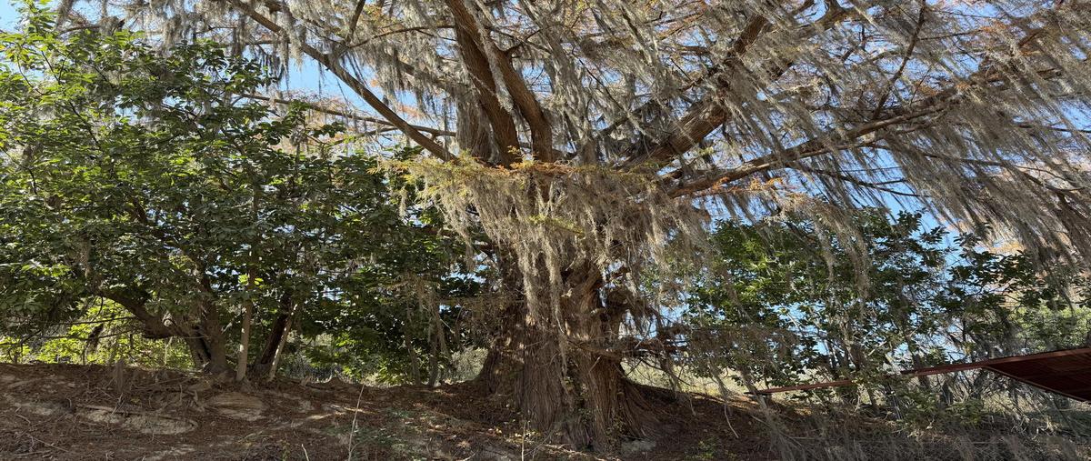 Foto de terreno habitacional en , rayones, rayones, nuevo león, 0 foto 02 Foto de terreno habitacional en venta en , rayones, rayones, nuevo león, 0 No. 02