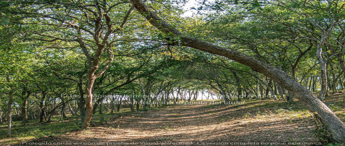 Foto de terreno habitacional en rayones , rayones, rayones, nuevo león, 0 foto 05 Foto de terreno habitacional en venta en rayones , rayones, rayones, nuevo león, 0 No. 05