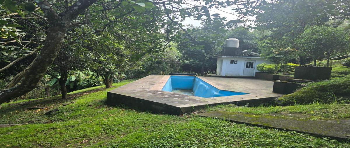 Foto de casa en venta en  , real de arriba, temascaltepec, méxico, 0 No. 03