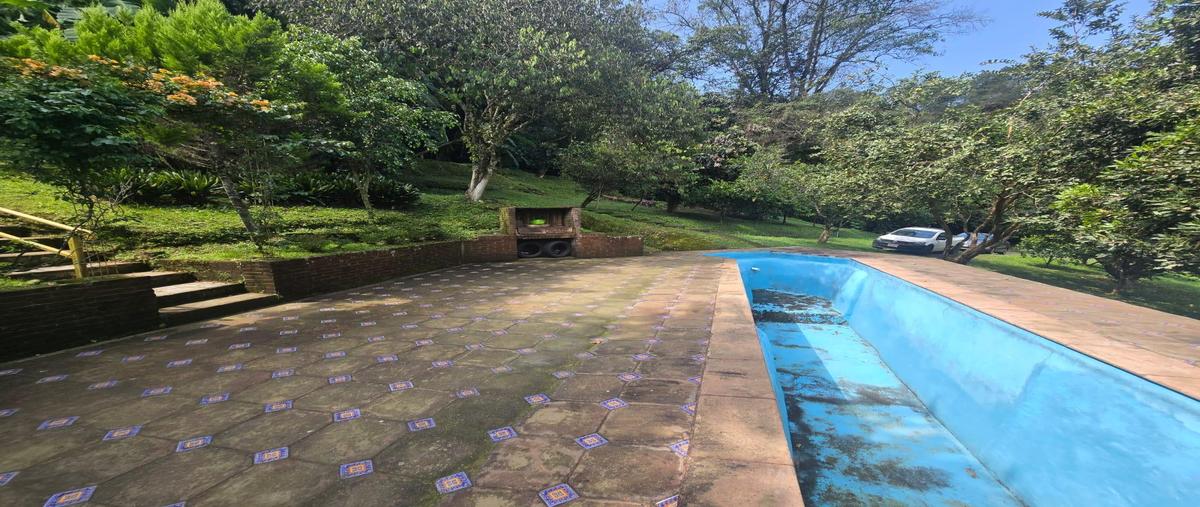 Foto de casa en venta en  , real de arriba, temascaltepec, méxico, 0 No. 04