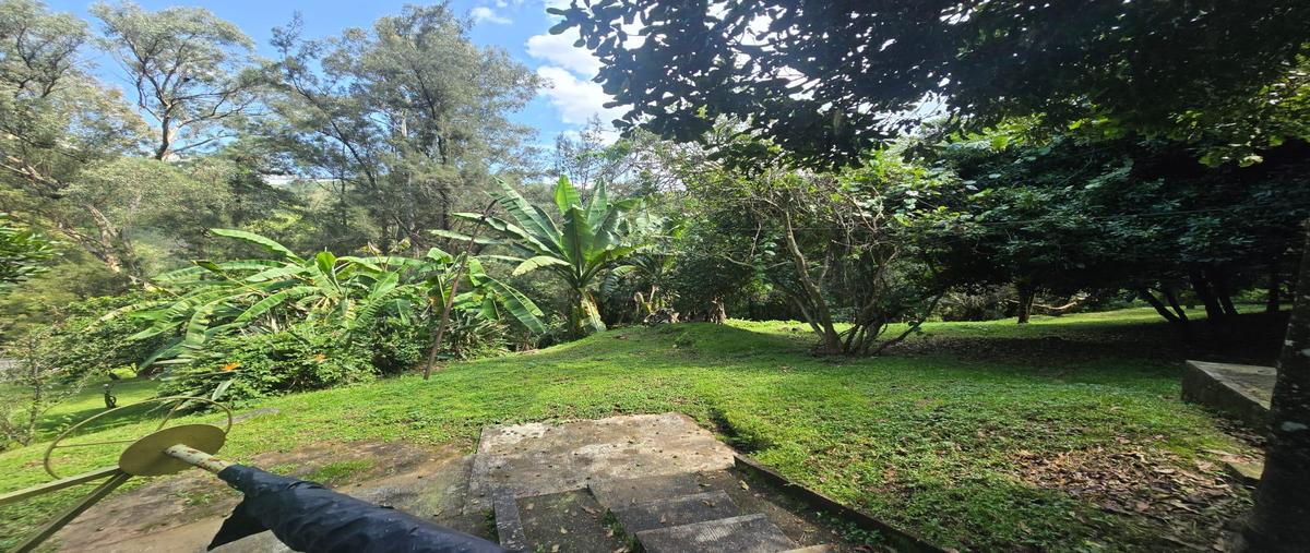 Foto de casa en venta en  , real de arriba, temascaltepec, méxico, 0 No. 05