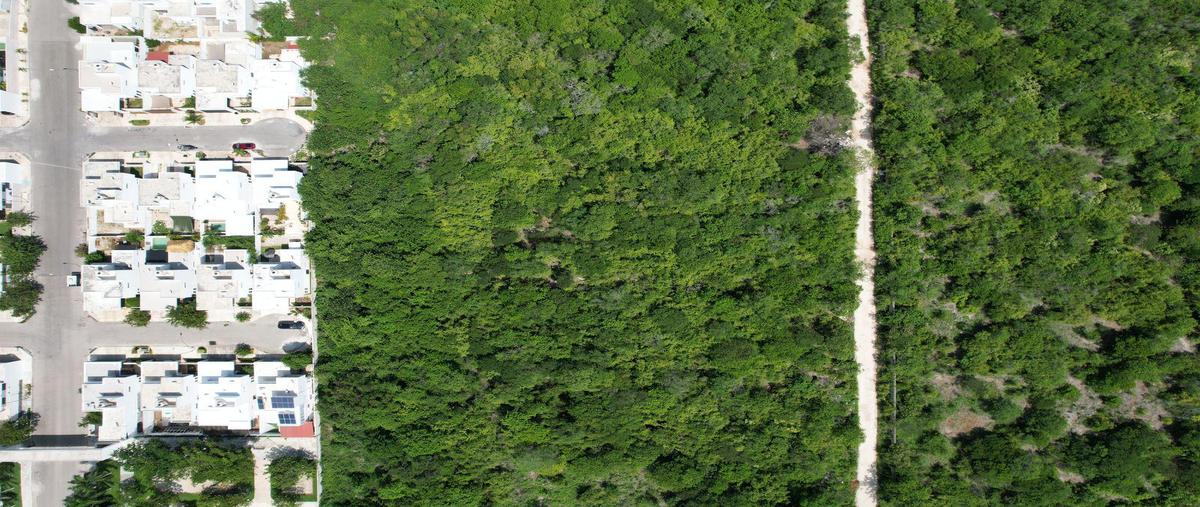 Foto de terreno habitacional en venta en  , real de dzityá, mérida, yucatán, 0 No. 04