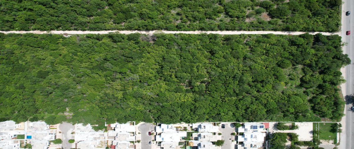 Foto de terreno habitacional en venta en  , real de dzityá, mérida, yucatán, 0 No. 05