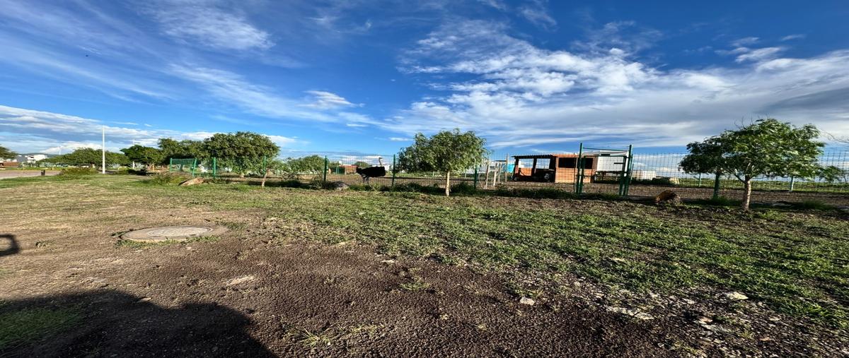 Foto de terreno habitacional en venta en  , real de juriquilla (diamante), querétaro, querétaro, 28535470 No. 05