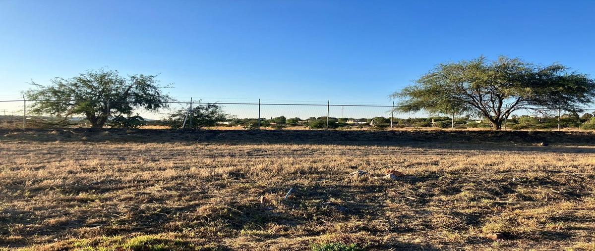 Foto de terreno habitacional en venta en  , real de la huerta, san miguel de allende, guanajuato, 26653435 No. 04