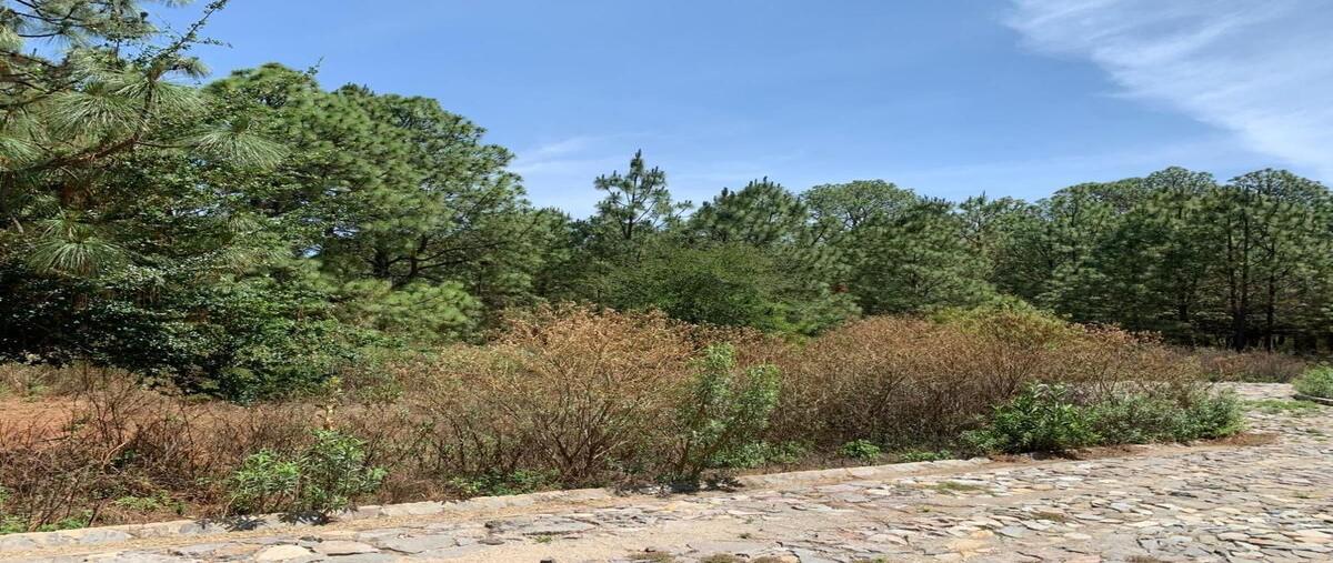 Foto de terreno habitacional en venta en real de los encinos , los espinos, tapalpa, jalisco, 0 No. 04